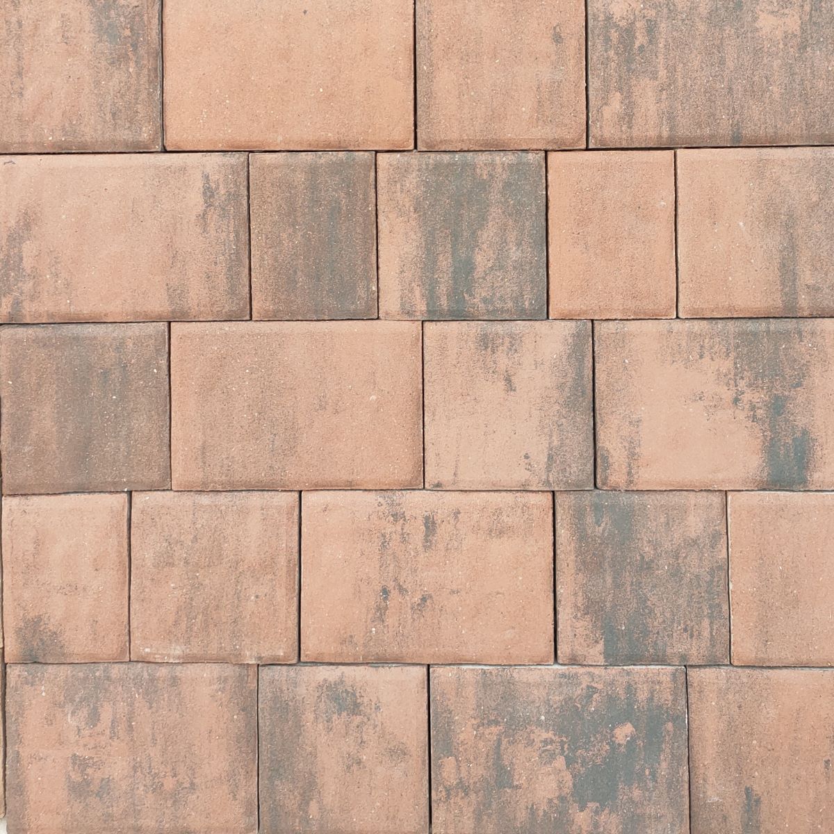 Венеція рифлена