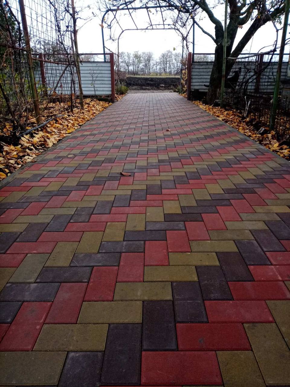 Wintry Mountain Landscape